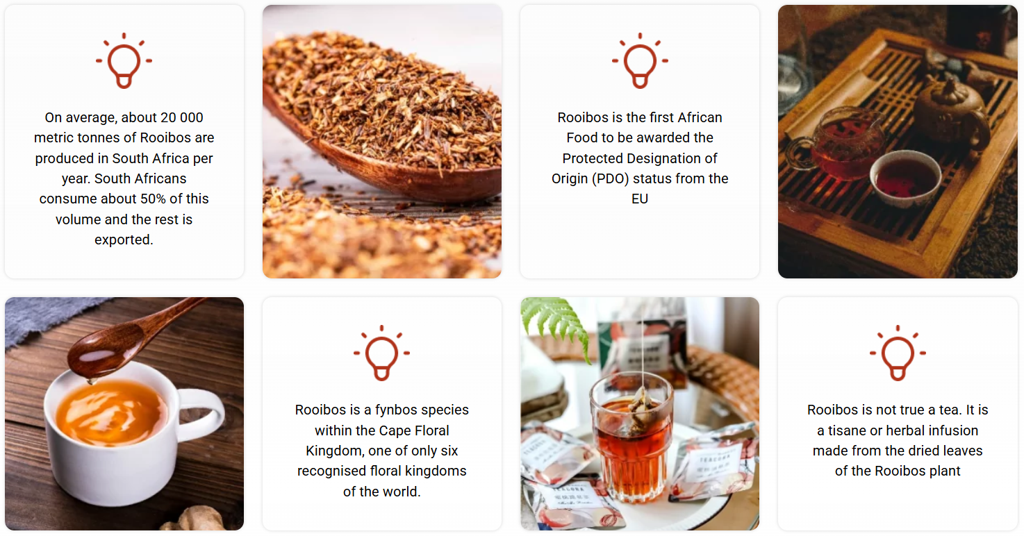 Interesting facts about Rooibos as supplied by the Rooibos council. Proudly South African tisane grown only in the Cederberg mountains range protected by PDO