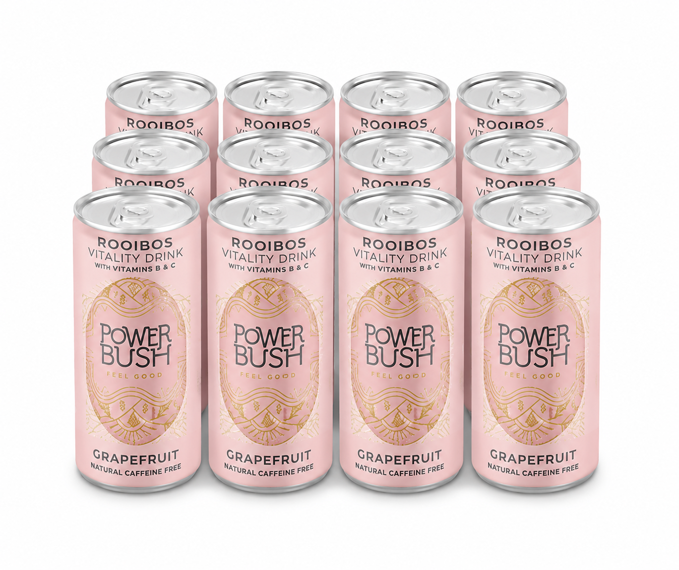 Rooibos Power Bush Organic Rooibos Vitality Drink – 250ml single cans