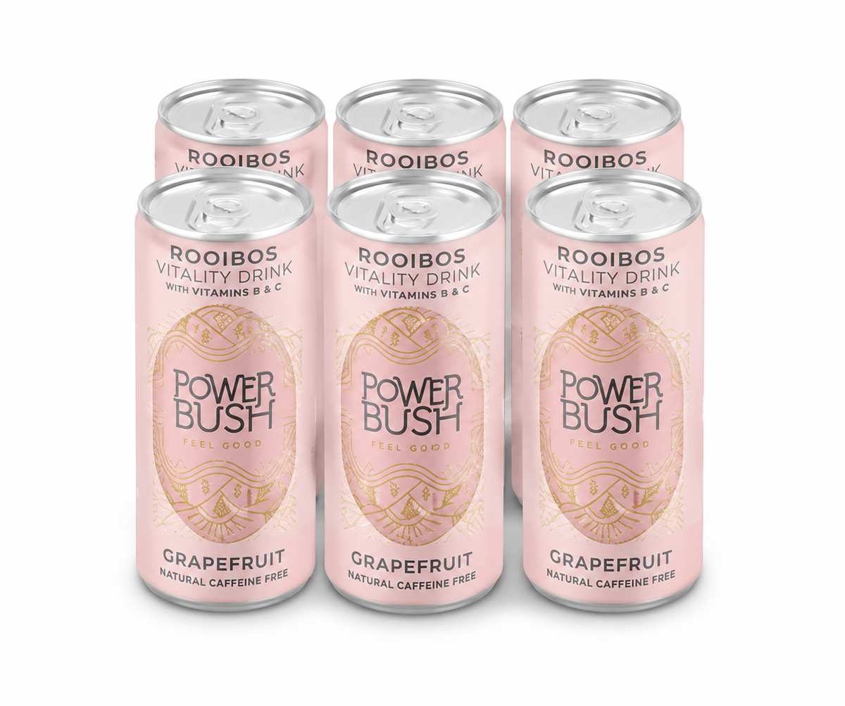 Rooibos Power Bush Organic Rooibos Vitality Drink – 250ml single cans